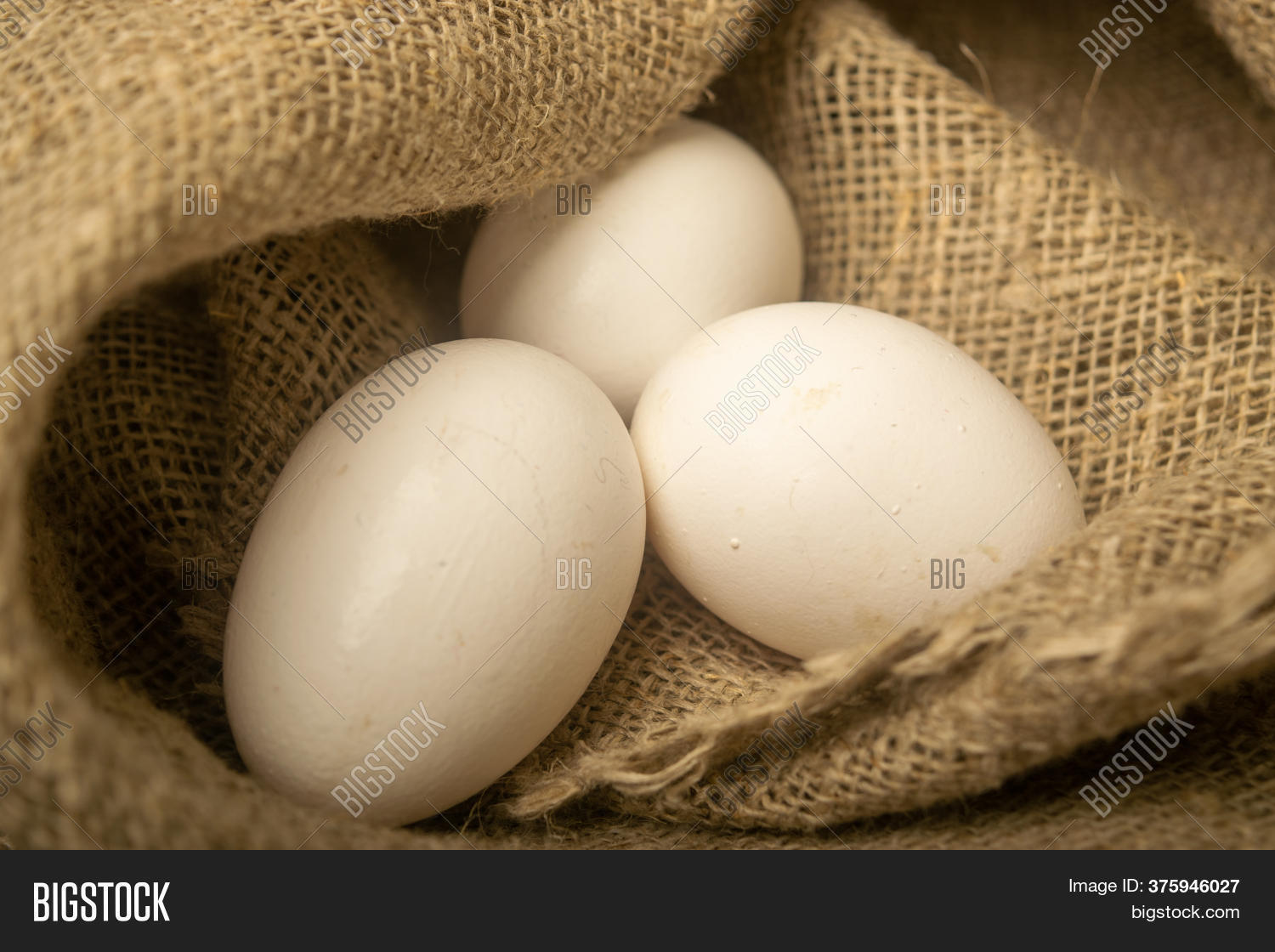 White Chicken Eggs On Image & Photo (Free Trial) Bigstock