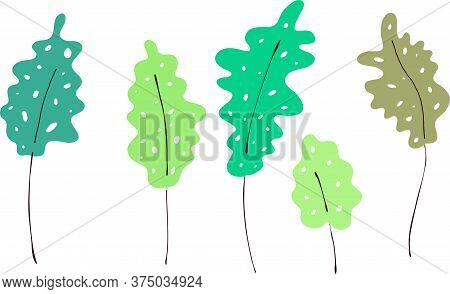 Decorative Leaves For Various Design. Computer Graphics