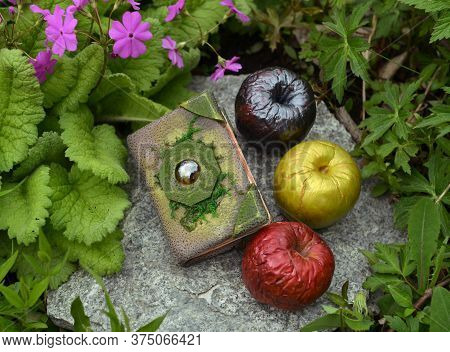Book With Enchanted Spells And Three Magical Poisonous Apples In The Garden. Esoteric, Gothic And Oc