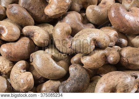 The Cashew Is A Dry Fruit With Many Properties And Nutrients Highlighting Its Great Content In The M