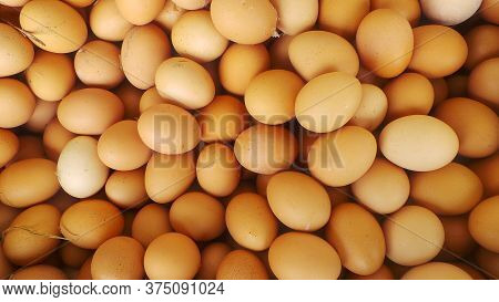 Large Quantities Of Chicken Eggs Ready For Sale