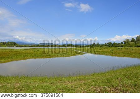 The Wetlands Of Isola Della Cona In Friuli-venezia Giulia, North East Italy
