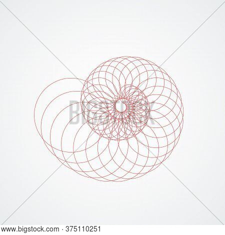 Closup Snail Seashells Spiral.seashell Which Consists Red Circles White Background