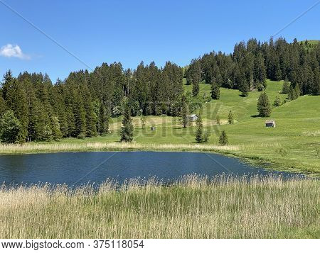 The Smaller Lake Schwendisee (hinter Schwendisee) In The Obertoggenburg Region, Wildhaus - Canton Of