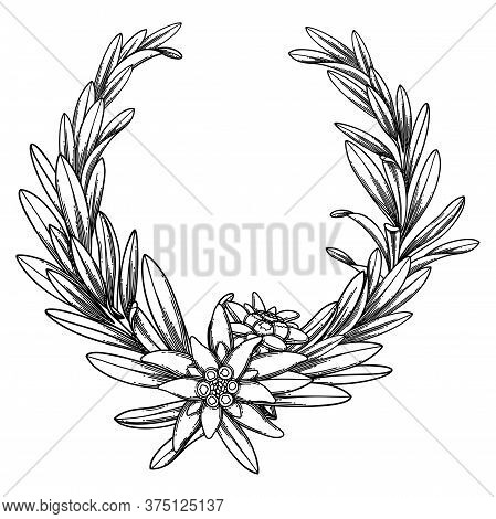 Graphic Edelweiss Wreath Isolated On White Background