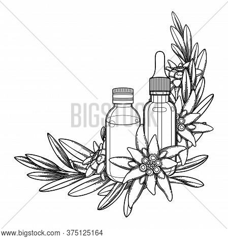 Graphic Essential Oil Bottles Decorated With Edelweiss Leaves And Flowers.