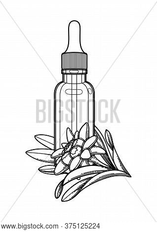 Graphic Essential Oil Bottle Decorated With Edelweiss Leaves And Flowers