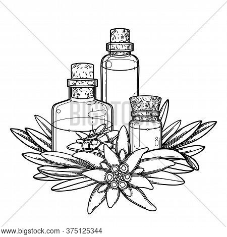 Graphic Essential Oil Bottles Decorated With Edelweiss Leaves And Flowers