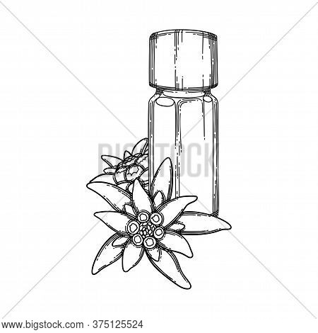 Graphic Essential Oil Bottle Decorated With Edelweiss Leaves And Flowers