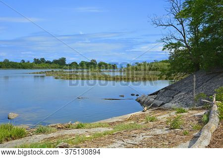 The Wetlands Of Isola Della Cona In Friuli-venezia Giulia, North East Italy