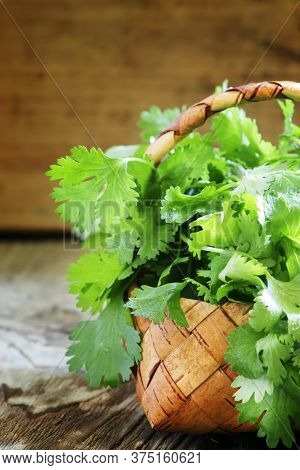 Fresh Cilantro In A Wicker Basket, Vintage Wooden Background, Selective Focus