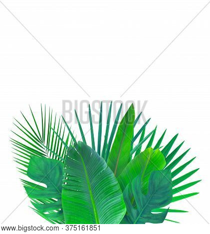 Frame With Green Tropical Leaves. Isolated On White.
