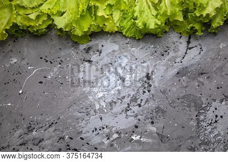 Fresh Farm Lettuce Leaves On A Gray Concrete Background