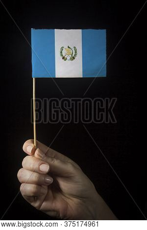 Hand With Small Flag Of State Of Guatemala