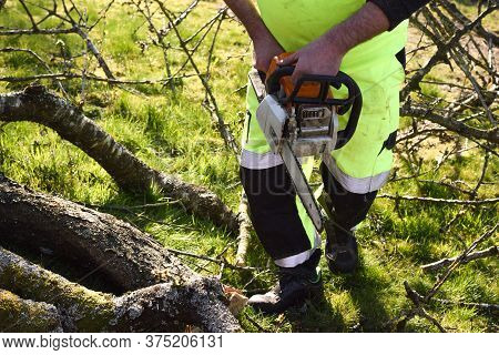 Worker in the garden with a chainsaw. Concept: spring garden work.