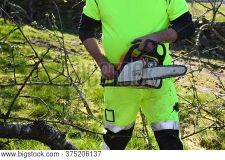 Worker In The Garden With A Chainsaw. Concept: Spring Garden Work.