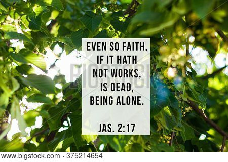 Bible Quotes On Blurred Blooming Green Tree Background. Card For Believers. Inspirational Verse Pray
