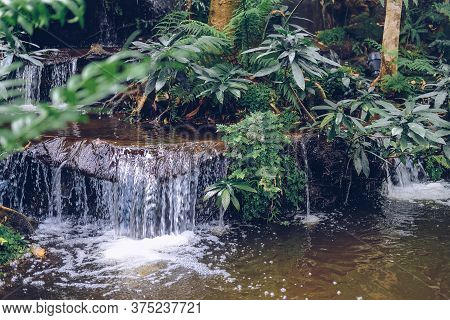 Watefall & Pond Plant Tree In Garden Park