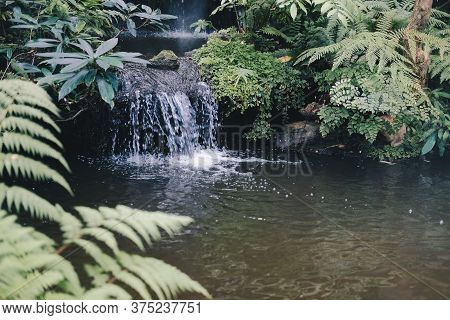 Watefall & Pond Plant Tree In Garden Park
