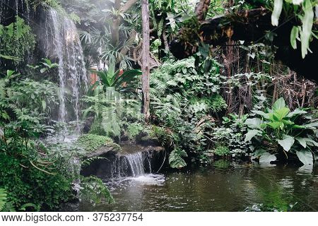 Watefall & Pond Plant Tree In Garden Park
