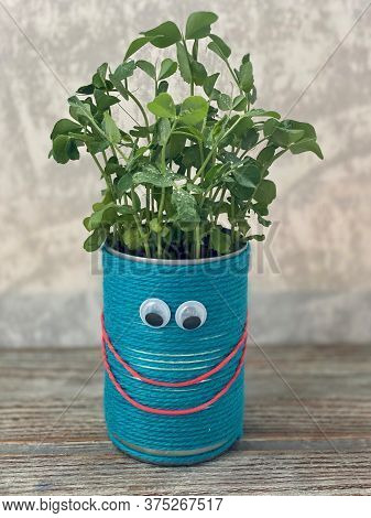 Childrens Creativity, A Blue Pot With Eyes And A Smile, With Pea Sprouts.