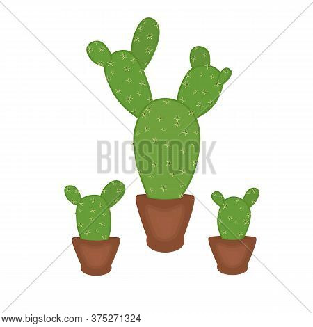 Three Cacti In Pots Hand Drown Element