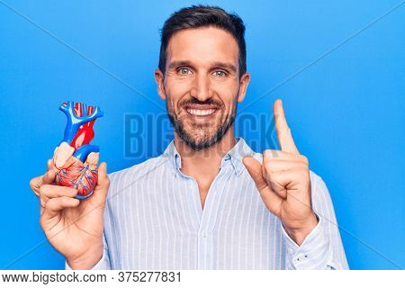 Young handsome man holding heart organ with veins and arteries over blule background smiling with an idea or question pointing finger with happy face, number one