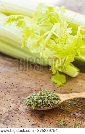 Green Fresh Celery Together With Dry Celery Seasoning In Spoon