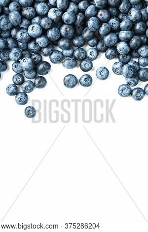 Tasty Blueberries Fruit Are Scattered On A White Background. Frame