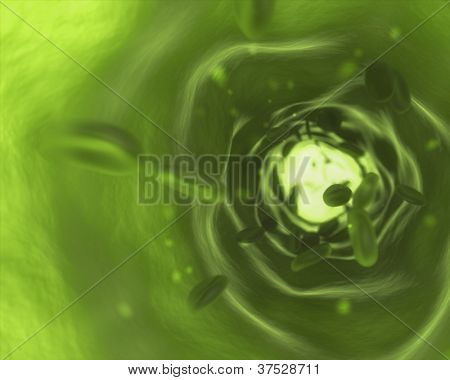 Interior of vein with flowing blood in green