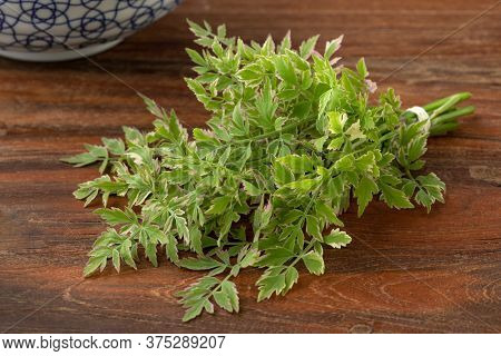 Bouquet of Oenanthe javanica Flamingo twigs on a wooden table