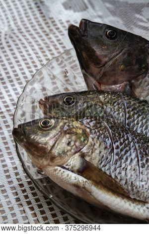 Nile Tilapia Fish, Oreochromis Niloticus On The Plate