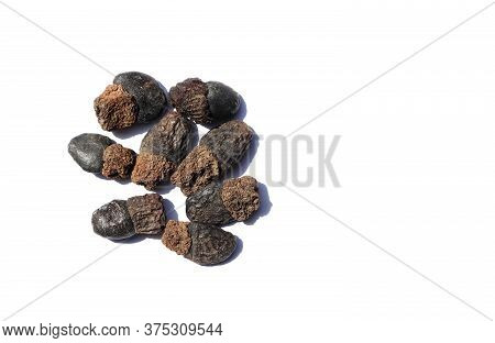 Marking Nut Or Phobi Nut Isolated On White Background With Copy Space For Texts Writing