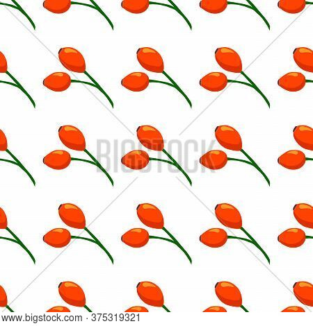 Illustration On Theme Big Colored Seamless Rose Hip, Bright Berry Pattern For Seal. Berry Pattern Co