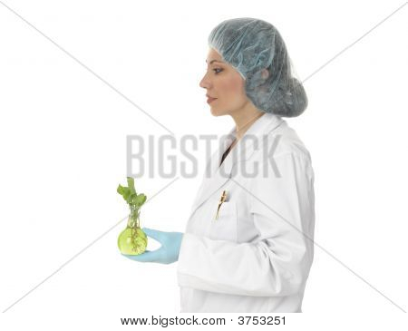 Tarım bilim adamı veya botanikçi