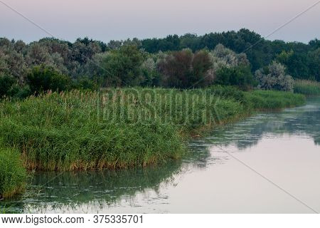 Morning On The River Early Morning Reeds Mist Fog And Water Surface On The River