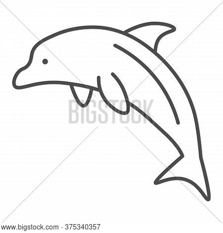 Dolphin Thin Line Icon, Ocean Concept, Dolphin Sea Animal Sign On White Background, One Jumping Dolp
