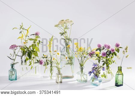 Wild Field Herbs In Bottles Of Different Shapes On A White-gray Background As A Decoration. Card