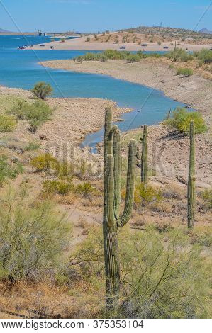 View Of Lake Pleasant In Lake Pleasant Regional Park, Sonoran Desert, Arizona Usa