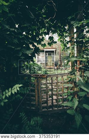 Vertical Shot Of A Cozy Mysterious Wooden Wicket In Deforused Foreground In A Corridor Of Plants And