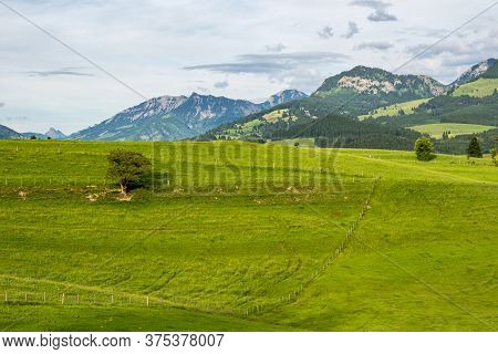 Autumn Impressions At Schweineberg Near Sonthofen, Bavaria Germany, Europe