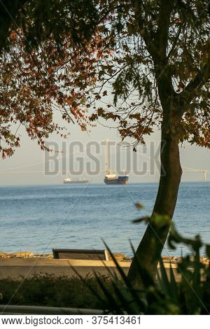 Osman Gazi Bridge And Cargo Ship Through The Trees