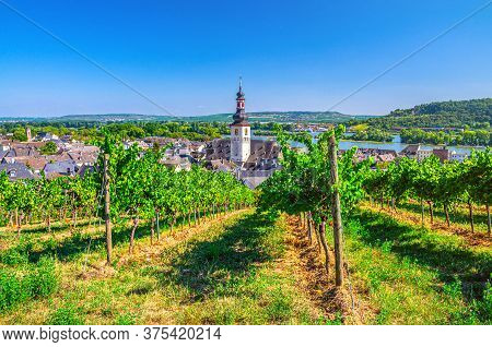 Aerial View Of Vineyards Rheingau Wine Region, Rudesheim Am Rhein Historical Town Centre With St. Ja