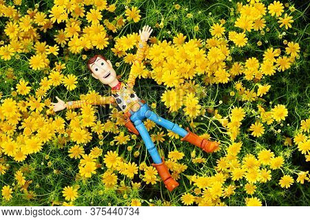 Thailand - July 6, 2020: Woody Figure Model. Woody Sleeping On A Yellow Flower Field. Feeling Relax 