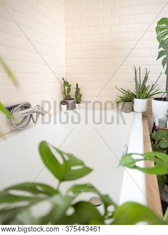Bright Bathroom With Subway Tiles And A Variety Of Green Potted Plants Such As A Monkey Mask Plant O