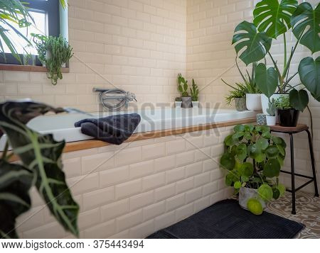 Small Bathroom With Subway Tiles And A Large Variety Of Green Potted Plants Such As A Pancake Plant 