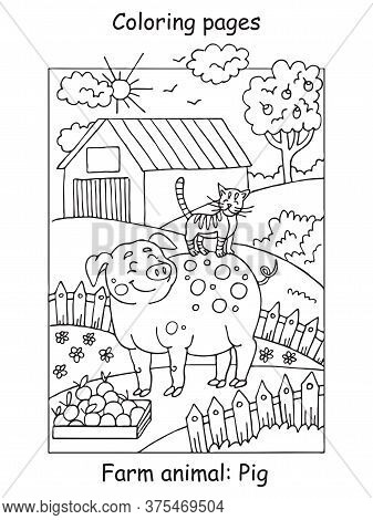 Vector Coloring Pages With Smiling Pig And Cat On The Farm Meadow. Cartoon Contour Illustration Isol
