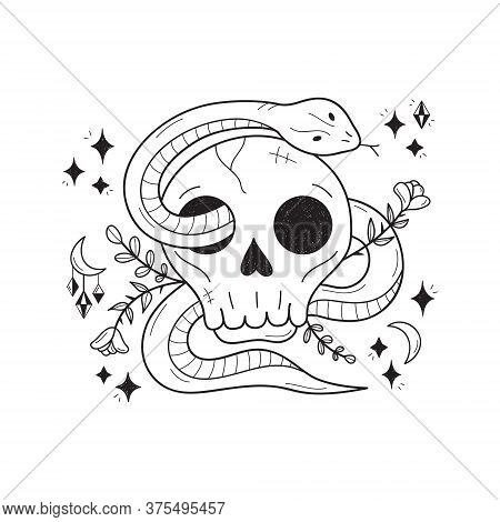 Magic Skull With Snake Vector Hand Drawn Illustration. Cool, Magical, Deadly, Witchy, Floral Printab