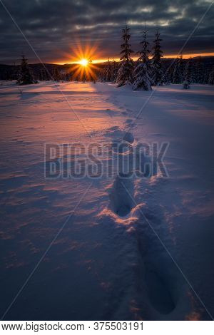 Beautiful Sunset During Winter With Footstepts In The Foreground Going Towards The Setting Sun Near 