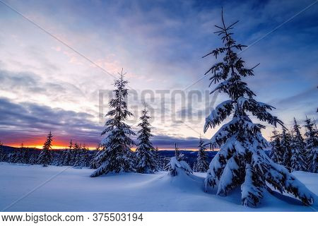 Wide View Of A Sunset During Winter On Top Of Mountains With Fir Trees Covered In Snow Near Marisel,